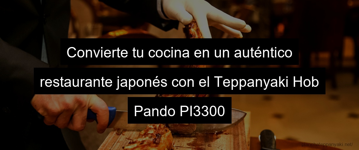Convierte tu cocina en un auténtico restaurante japonés con el Teppanyaki Hob Pando PI3300