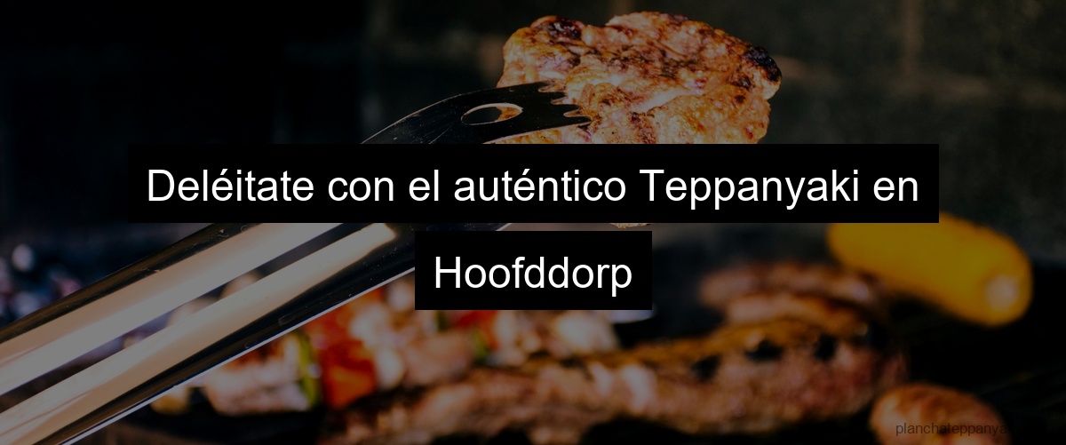 Deléitate con el auténtico Teppanyaki en Hoofddorp