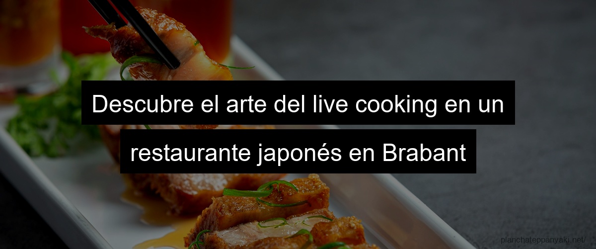 Descubre el arte del live cooking en un restaurante japonés en Brabant