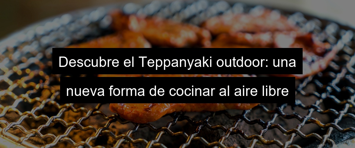 Descubre el Teppanyaki outdoor: una nueva forma de cocinar al aire libre