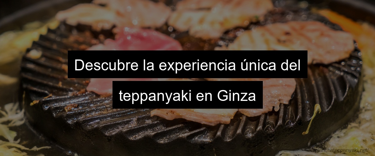 Descubre la experiencia única del teppanyaki en Ginza