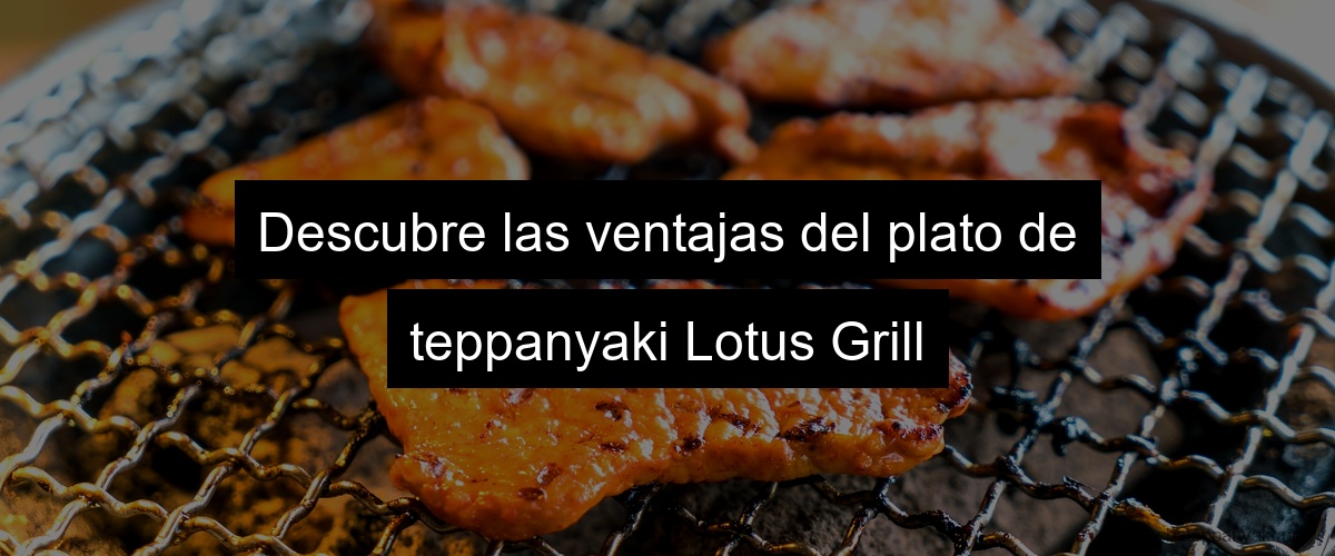 Descubre las ventajas del plato de teppanyaki Lotus Grill