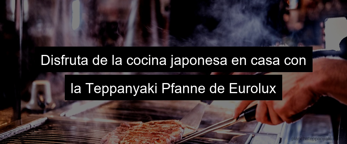 Disfruta de la cocina japonesa en casa con la Teppanyaki Pfanne de Eurolux