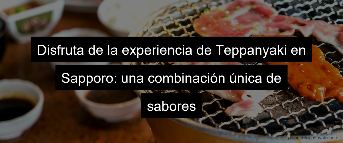 Disfruta de la experiencia de Teppanyaki en Sapporo: una combinación única de sabores