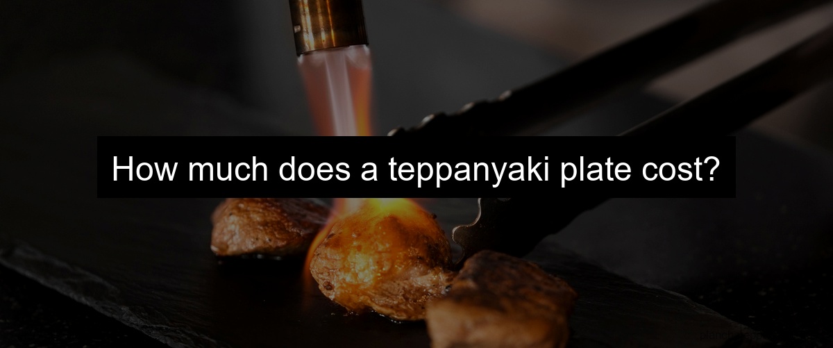 How much does a teppanyaki plate cost?