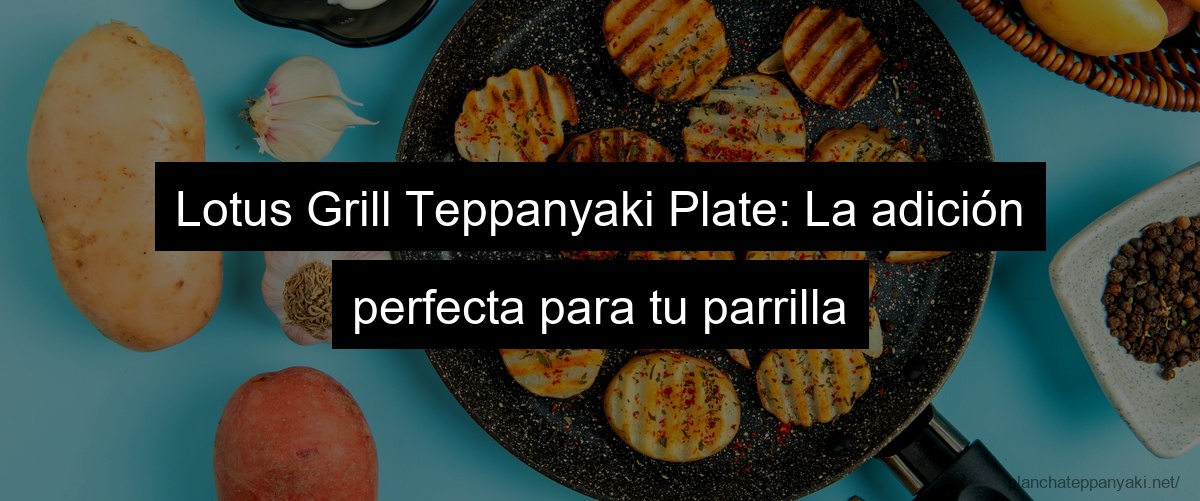 Lotus Grill Teppanyaki Plate: La adición perfecta para tu parrilla