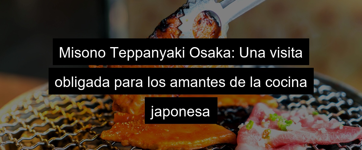 Misono Teppanyaki Osaka: Una visita obligada para los amantes de la cocina japonesa