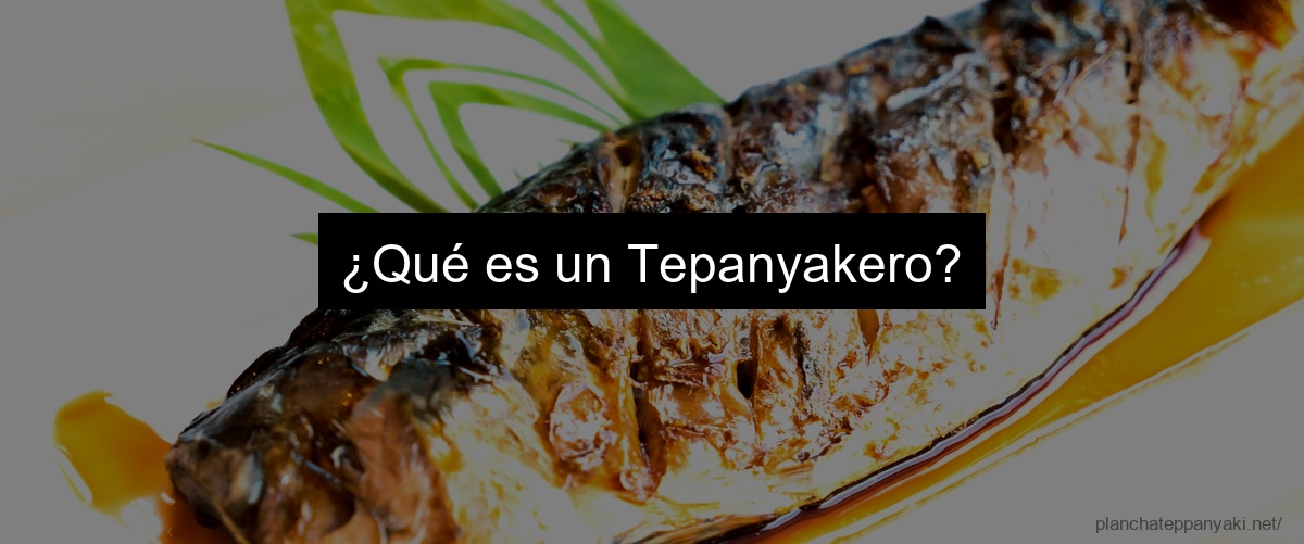 ¿Qué es un Tepanyakero?