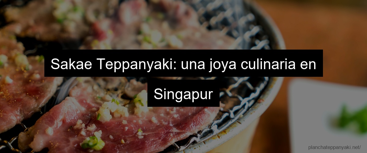 Sakae Teppanyaki: una joya culinaria en Singapur