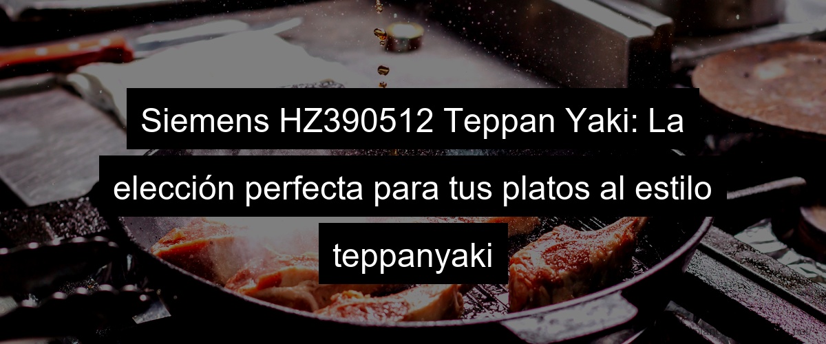 Siemens HZ390512 Teppan Yaki: La elección perfecta para tus platos al estilo teppanyaki