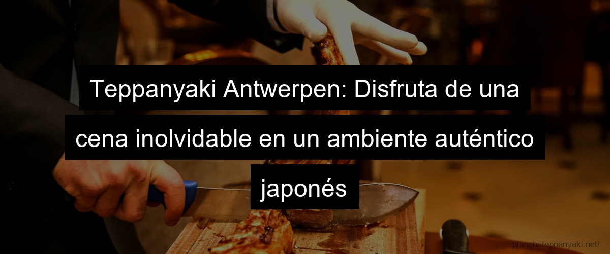Teppanyaki Antwerpen: Disfruta de una cena inolvidable en un ambiente auténtico japonés