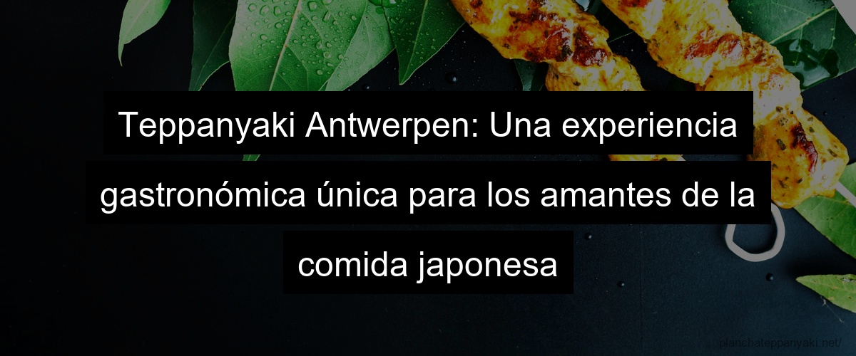 Teppanyaki Antwerpen: Una experiencia gastronómica única para los amantes de la comida japonesa