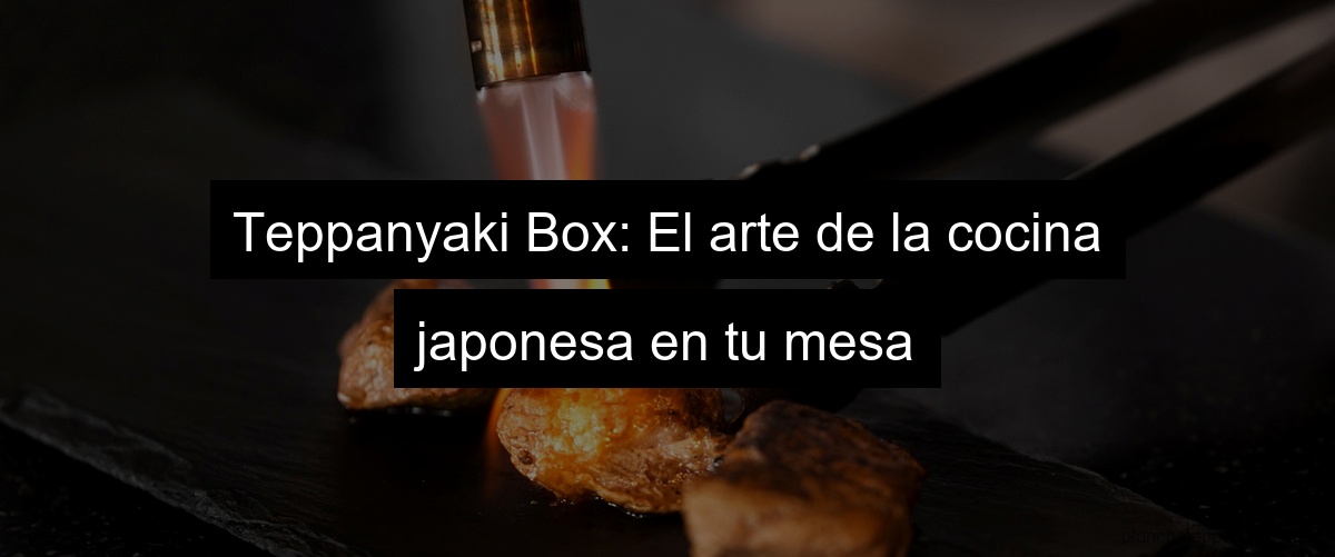 Teppanyaki Box: El arte de la cocina japonesa en tu mesa