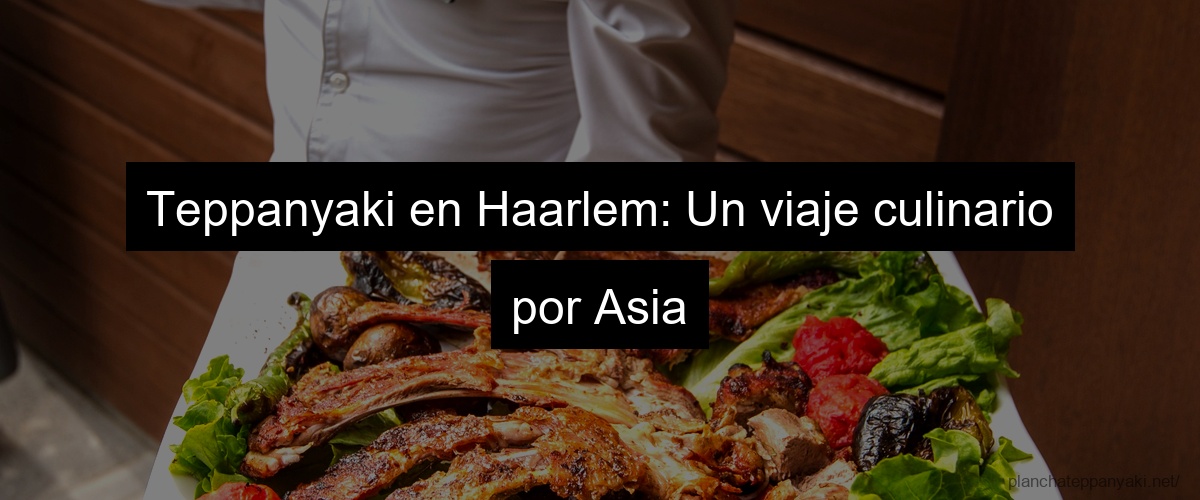 Teppanyaki en Haarlem: Un viaje culinario por Asia