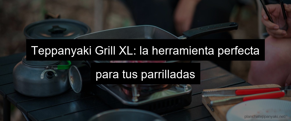 Teppanyaki Grill XL: la herramienta perfecta para tus parrilladas