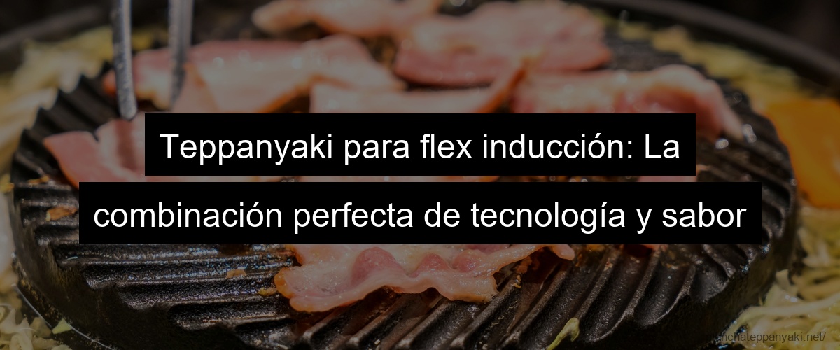 Teppanyaki para flex inducción: La combinación perfecta de tecnología y sabor