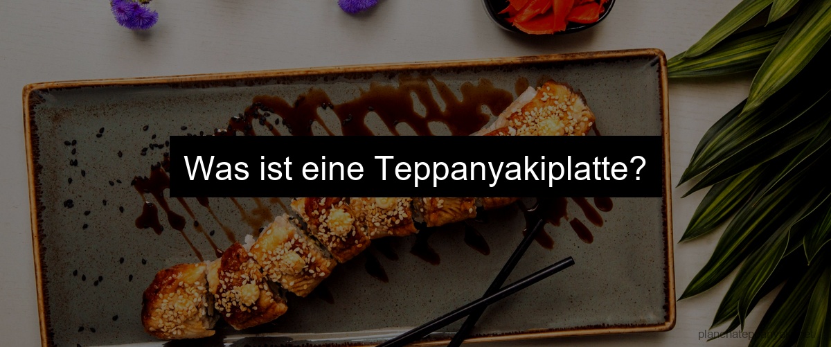 Was ist eine Teppanyakiplatte?