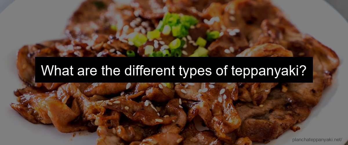 What are the different types of teppanyaki?