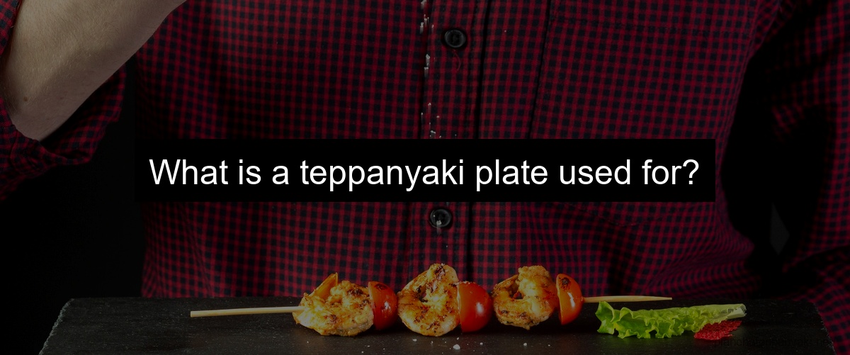 What is a teppanyaki plate used for?