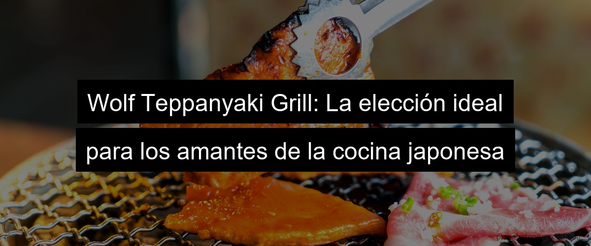 Wolf Teppanyaki Grill: La elección ideal para los amantes de la cocina japonesa